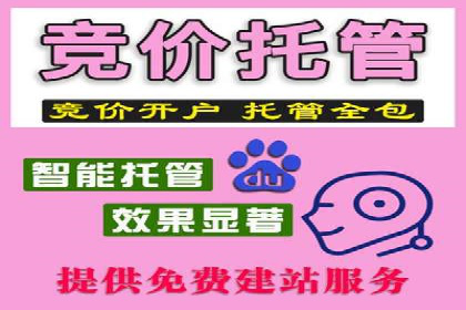 案例分享：竞价代运营助力企业快速提升流量